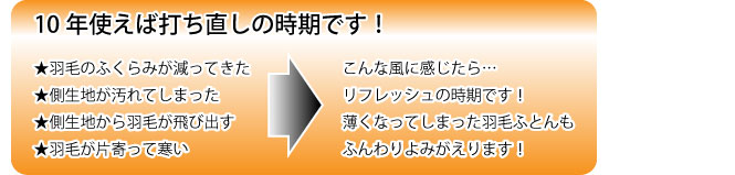 10年使えば打ち直しの時期です！　★羽毛のふくらみが減ってきた　★側生地が汚れてしまった　★側生地から羽毛が飛び出す　★羽毛が片寄って寒い　こんな風に感じたら…リフレッシュの時期です！薄くなってしまった羽毛ふとんもふんわりよみがえります！